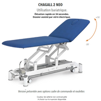 Table de massage 2 plans Ferrox Chagall