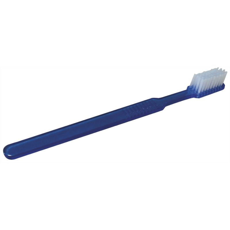 Brosse à dent imprégnée de dentifrice - Boîte de 100